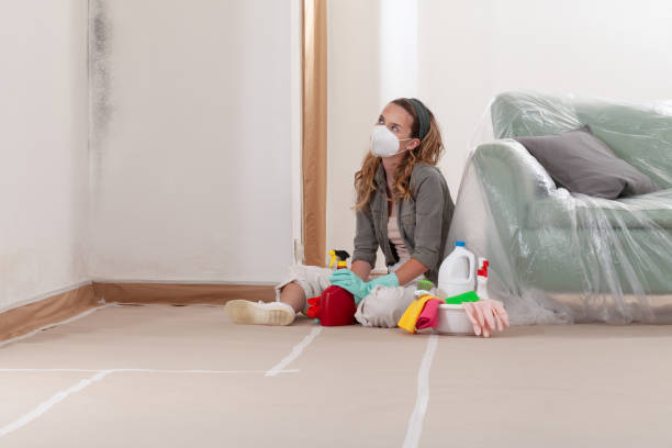 Reliable Mold Cleanup contractor in Churchville, PA by WQB Mold Removal